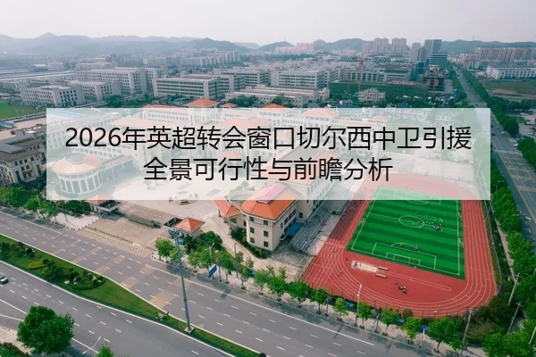 2026年英超转会窗口切尔西中卫引援全景可行性与前瞻分析